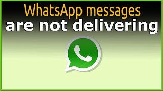 WhatsApp messages are not delivering How to Fix Solution #whatsapp #android #iphone