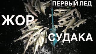 БЕШЕНЫЙ ЖОР СУДАКА. ПЕРВЫЙ ЛЕД 2020-2021. ЗИМНЯЯ РЫБАЛКА.