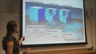 Nanotechnology and the Environment - A General Introduction