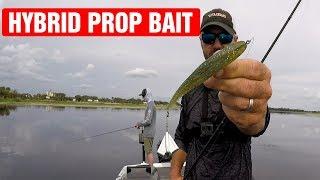 Lake Toho Bass Fishing - The Motor Boat from 13 Fishing