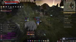 BDO ...