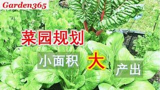 【种菜】省钱种菜，菜园规划带领大家参观我的菜园