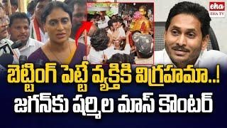 YS Shamila Shocking Comments on YS Jagan Sattenapalli Tour | EHA TV