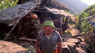 Growing organic typical crops in the eastern rural areas of Nepal || Eastern Nepal ||