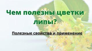 Чем полезны цветки липы? Полезные свойства и применение липы