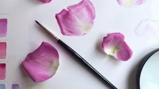 Painting a pink rose petal.