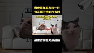 当老婆在家发现一件有不属于她的内衣时 #猫meme #搞笑 #男生穿搭