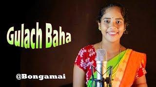 Gulech BAHA || Dong Sereng By Bonga mai || Buru Jharna