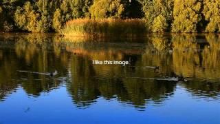 Canon 60d video test