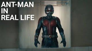 How Ant-Man Suit Might Work In Reality?