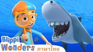 ฟันฉลาม | Blippi ไทย |  | วิดีโอการเรียนรู้สำหรับเด็ก