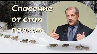 Помни путь 6/7. Спасение от стаи волков \\ Владимир Миняков