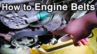 How to Change Engine Belts [Infiniti G35/Nissan 350Z Serpentine Belt] (w/Pro Tips)