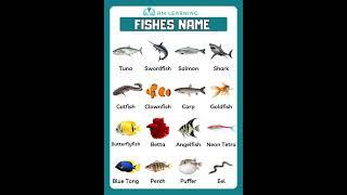 Types of Fish Vocabulary in English #learnenglish #englishvocabulary