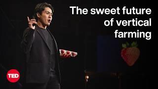 The Sweet Future of Vertical Farming | Hiroki Koga | TED