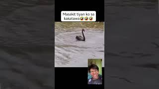 Bawal tumawa#trendingshorts #funny #musicvideo #remix #reaction #viralshort