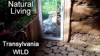 Natural Living | TRANSYLVANIA | OFF GRID SYSTEM | SUSTAINABLE LIFE | NATURAL FARM