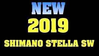 NEW 2019 SHIMANO STELLA SW   I'm Confused