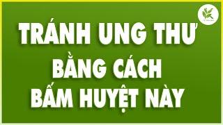 Hơ Nóng Chỗ Này Ngày 2 Lần PHÒNG TRÁNH UNG THƯ Chữa Được GAN NHIỄM MỠ - MỠ MÁU CAO | TCL