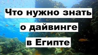 ДАЙВИНГ в ЕГИПТЕ, Шарм-Эль-Шейх, Красное море, подводный мир 2022 год