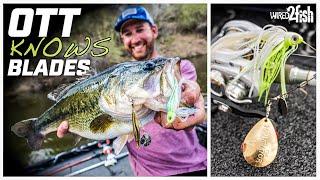 How to Choose Spinnerbaits for Bass Fishing