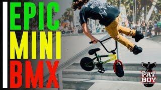 FatBoy Mini BMX at Venice Skatepark