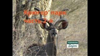 Kruger National park_ selfdrive Парк Крюгера, (2 часть) о "подводных камнях" самостоятельного сафари