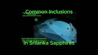 L 62 Es1 | Common Inclusions in Sri Lanka Sapphire #gemology #gemstone #GemstoneInclusions