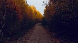 One way road ft. CLB (Official Audio)