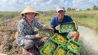 Năm Nay 2 Vợ Chồng Cùng Đồng Lòng Chăn Nuôi Và Quyết Định Thả Giống Cua Này Trước Tết | Tập 119