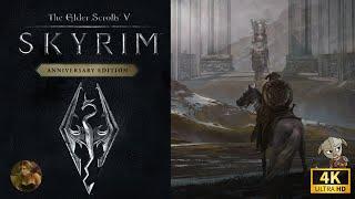 The Elder Scrolls V: Skyrim Anniversary Edition  4K | PC  Полное прохождение  Бретонец  Серия 12