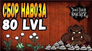 ГАЙДСБОР НАВОЗА 80 LVL►Don't Starve Together co-op