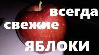 Как хранить яблоки всю зиму? СТАРЫЙ ДЕДОВСКИЙ способ хранения яблок