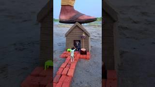 Videography ideas with mobile phone  #shorts #videography #funny
