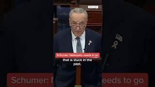 Schumer: Netanyahu needs to go