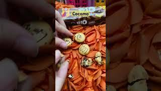 Chocolate cocomo ️#shortsfeed #anayakandhal #anaya #shorts