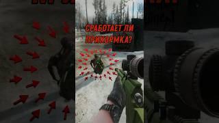 Сработает ли прикормка?  #тарков #escapefromtarkov