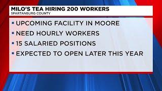 Milo's Tea Company to hire 200 workers in Spartanburg County