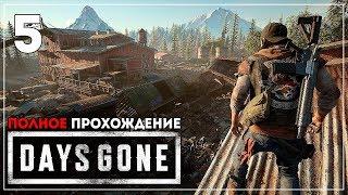 Война. Дикие Орды. ФИНАЛ (+ Секретная концовка). Жизнь После | Days Gone #5