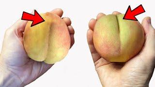 挑甜桃的秘诀 很多人不知道 以后再也不用担心吃不上甜桃了 Secrets to Picking the Perfect Sweet and Juicy Peach