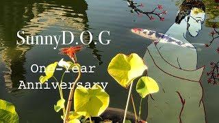 SunnyD.O.G One-Year Anniversary Special