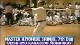 Okinawan Karate Masters - 1995