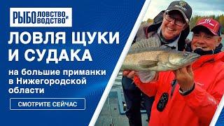 Осенняя рыбалка в Нижегородской области. Ловля щуки и судака на большие приманки.