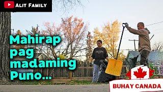 MAHIRAP PALA PAG MADAMING PUNO MALAPIT SA BAHAY #buhaycanada #canadavlogs