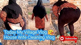 Today My Village Vlog  | House Wife Cleaning Vlog | Meero Dasi Vlog