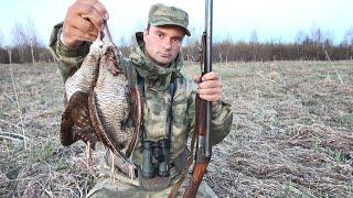 ЗА ЭТИМИ ТРОФЕЯМИ ОТСТОЯЛ ЧЕТЫРЕ ВЕЧЕРА. ОХОТА НА ВАЛЬДШНЕПА С РУЖЬЕМ ИЖ-54. Удобства для охотника.