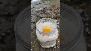 How to Dry a Wet Lighter #bushcraft #camping #hack