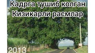 Табиат мужизалари | Кадрга тушиб колган шок расмлар | #топфакт