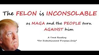 PEOPLE TURN ON TRUMP, ISREAL, IRAN, JOE ROGAN, THE G7, EVERYONE SEES HIS DECLINE, Political Tarot