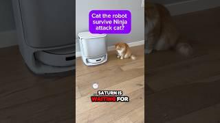 Can the Narwal Freo Z Ultra survive my cat? #robot